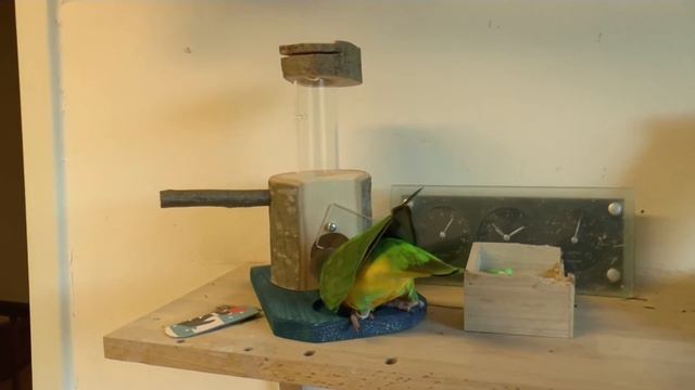 Never Change a winning Team ;) Panasonic HC x 929 смотреть онлайн