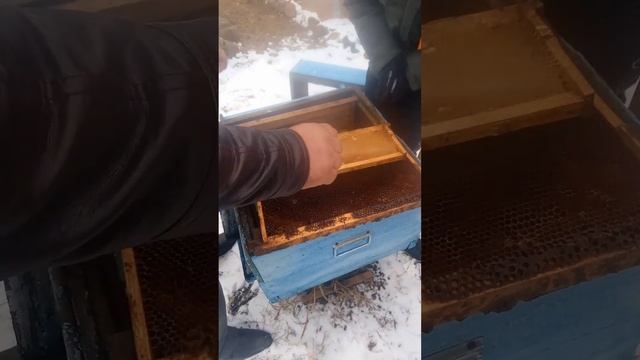 Детский клуб пчеловод г.Углич смотреть онлайн