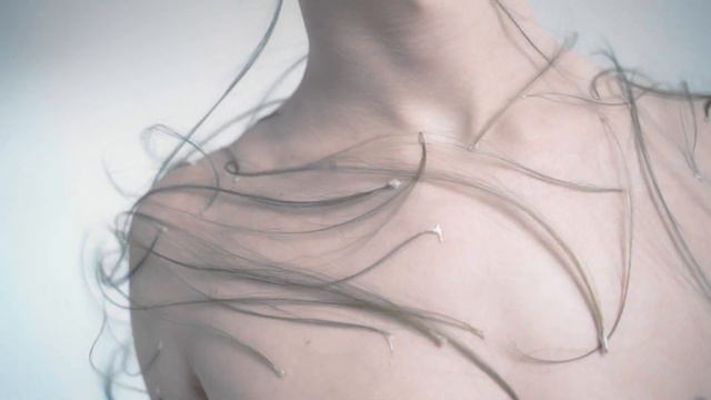 дикий пион смотреть онлайн