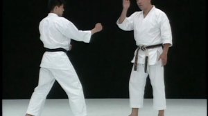 Лучшие техники каратэ шотокан от Рюдзи Сугита. Ч 2.