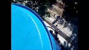 Теплая вода с целой бочки, моя схема