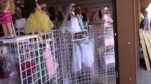 В гости к Амишам: Кто такие Амиши, и как они живут в Америке