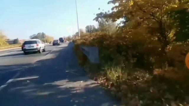 на одном колесе. Осенняя покатушка на моноколесе. #моноколесо #euc смотреть онлайн