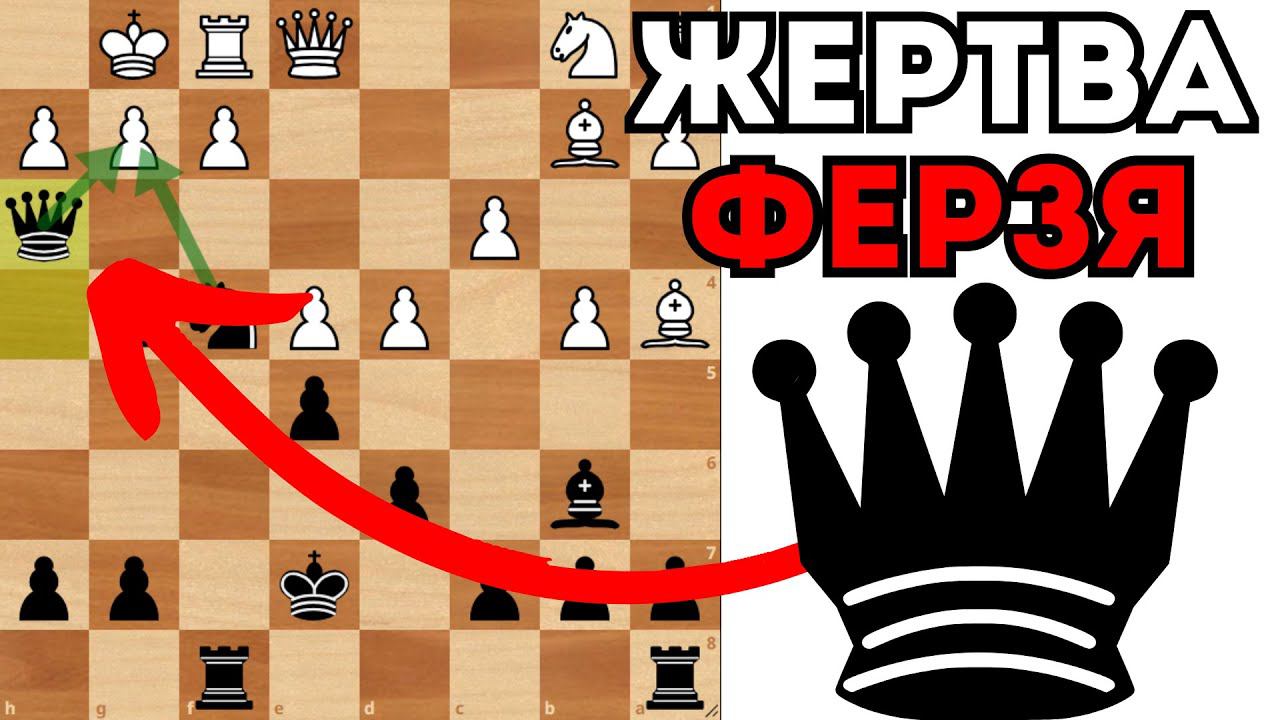 Контратака Тракслера против Жаренной печени. Шахматная атака смотреть онлайн