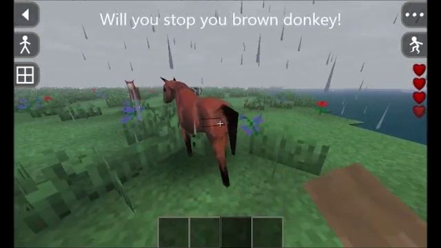 Cowboy Life смотреть онлайн