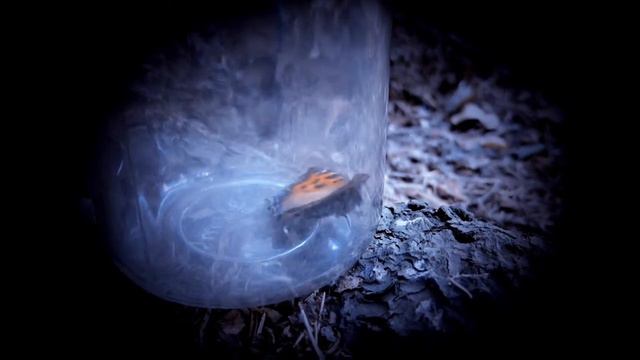 Плачущее Дерево - Мы обязательно разобьемся... смотреть онлайн
