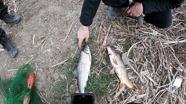 Рыбалка в Дагестане - Тушиловка средний канал день 1-й смотреть онлайн