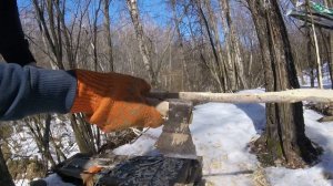 КАК СДЕЛАТЬ ЛУК СВОИМИ РУКАМИ В ЛЕСУ ЗА 20 МИНУТ ОДНИМ ТОПОРИКОМ