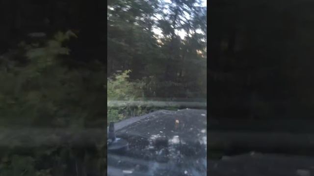 Едем на Nissan Safari (часть 2) смотреть онлайн