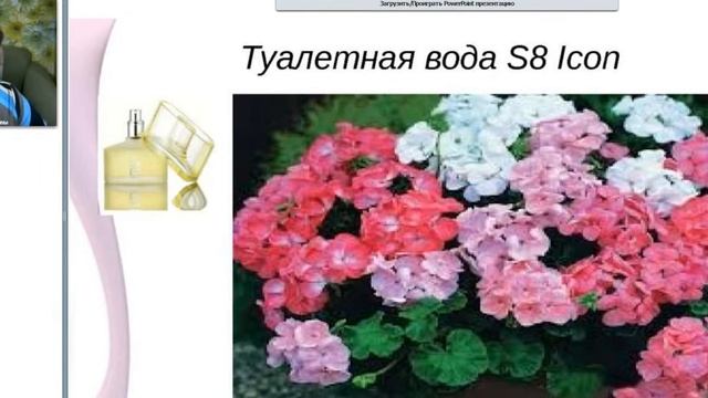 Лариса Назарова о аромате S8 Icon (Кумир ) смотреть онлайн