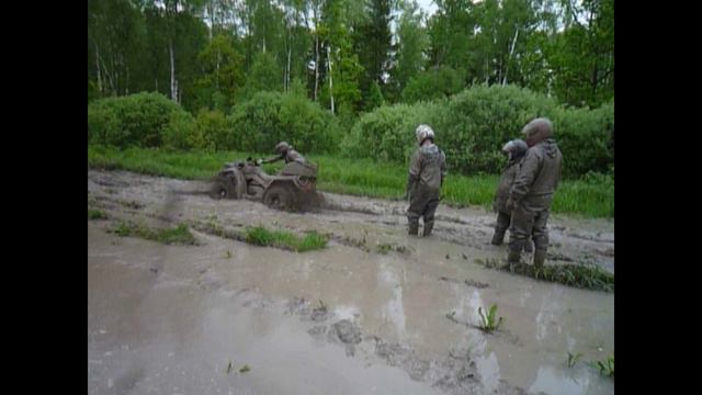 прогулка в лесу смотреть онлайн