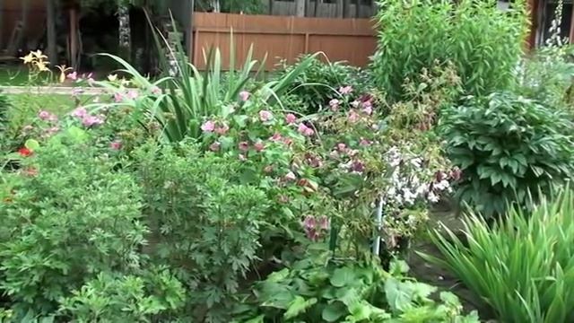 Красота и уют на садовом участке. смотреть онлайн