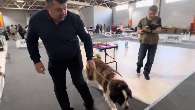 МЕЧТА ЗОЛОТОФФ ГРАДА С РУССКОЙ ДУШОЙ смотреть онлайн