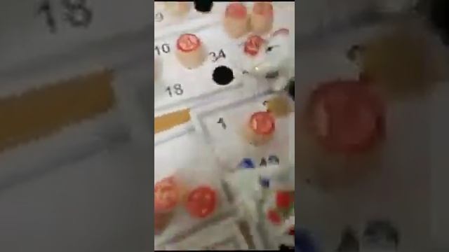 16 ноября 2023 г. смотреть онлайн