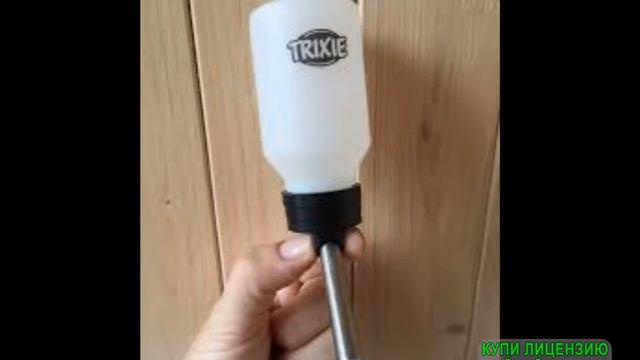 Что нужно крысам!! В первый раз смотреть онлайн