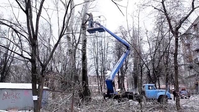 Иваново - Во дворах пилят и убирают старые деревья смотреть онлайн