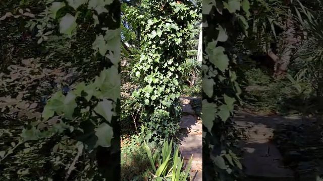 Отель GOLDEN FAMILY в Алуште. смотреть онлайн