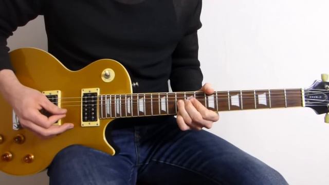 Guns N' Roses Wild Horses Cover - Paris 92 - Guitar Lesson смотреть онлайн