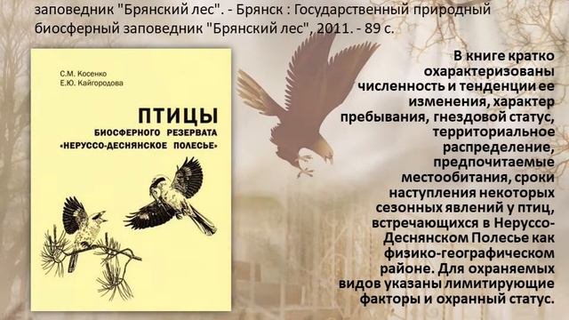 Виртуальная выставка "Пернатый мир природы" смотреть онлайн