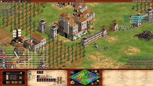 AoE2 Pro vs Noobs! "This Is Not Supposed To Happen" смотреть онлайн