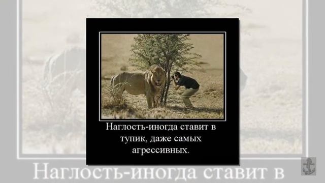 Калейдоскоп. Выпуск № 74 смотреть онлайн
