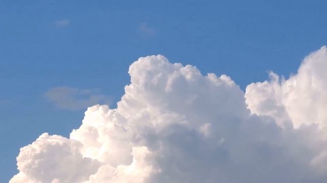 Трогательные стихи - "Кто я?" Чтец Анатолий Спирин смотреть онлайн
