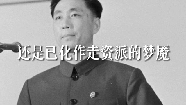 【cydo】革命已死（不老不死x王洪文）【PV附】