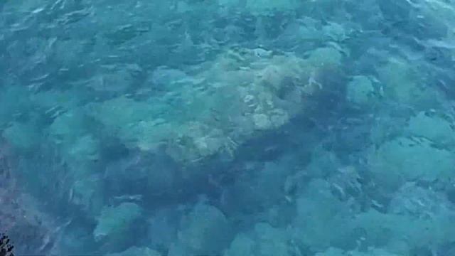 Лучшие дикие пляжи Анталии: дикий пляж один из двух, тот, что дальше от Террасити смотреть онлайн