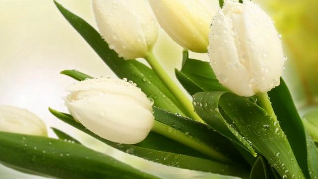 Красиве вітання з Днем народження українською мовою смотреть онлайн