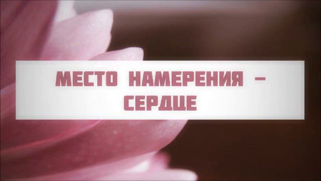 «Я намереваюсь совершить намаз…» || Абу Яхья Крымский смотреть онлайн