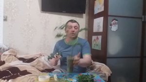 Черенкование томатов или размножение черенками помидоров!!))))