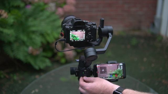 Best external monitor for ronin-sc gimbal смотреть онлайн