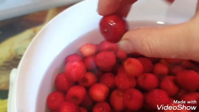 Вся черешня червивая? что делать? смотреть онлайн