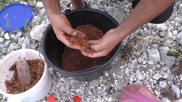 Рыбалка на реке Днестр.(Как правильно кормить леща № 2) смотреть онлайн