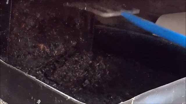 Sitsontiainen in exile смотреть онлайн