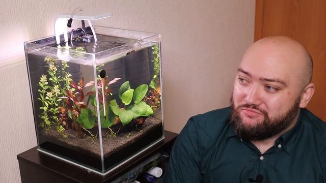 Запускаю креветок и сомиков в 30л аквариум смотреть онлайн