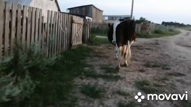 ВСЕГО ПЯТЬ ЧАСОВ НА СОН!ВЫ ВСЕ ЕЩЕ ХОТИТЕ ДОМИК В ДЕРЕВНЕ?ТАКОВА ЖИЗНЬ С КОРОВАМИ!ЗАГОНЯЕМ И ДОИМ! смотреть онлайн