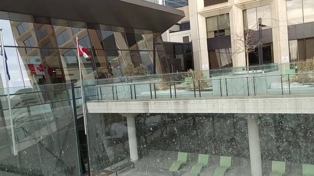 Канада Canada Kanada Downtown Edmonton i'm shocked смотреть онлайн