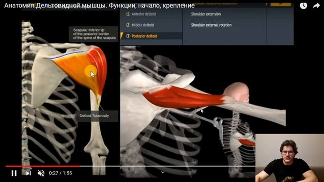 РОЛЬ ШИРОЧАЙШЕЙ В ЖИМЕ ЛЕЖА смотреть онлайн