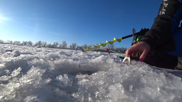 ЭТА ЛУНКА НЕ ОТПУСКАЕТ! Попала на ЖОР рыбы.. ЗИМНЯЯ РЫБАЛКА! смотреть онлайн