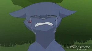 История СИНЕЙ ЗВЕЗДЫ и БЕЛОГРИВКИ