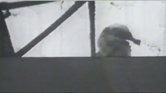 Nirvana - Sappy (Made By Krist & Dave in memory of Kurt Cobain) смотреть онлайн