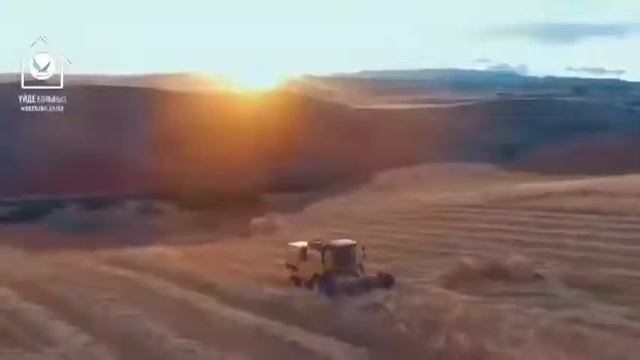 “Бәдік ән айту” дегеніміз не?