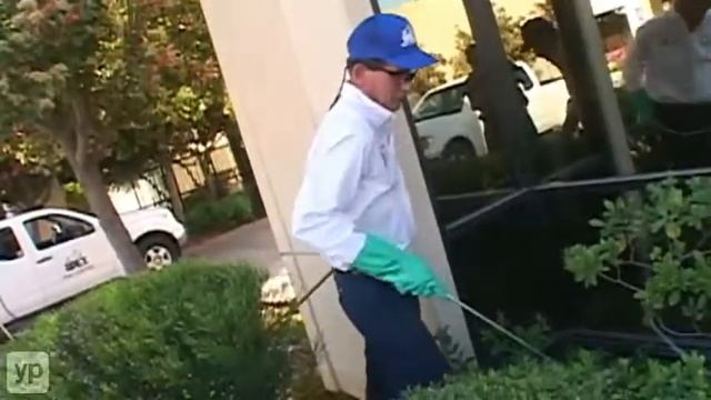 Apex Pest Control, Inc. Sacramento CA Licensed Exterminators смотреть онлайн