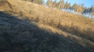 iRay xHolo HL13 - мои впечатления..