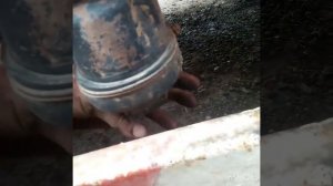 Шприцовка и точки смазки узлов и агрегатов  автомобиля SHACMAN