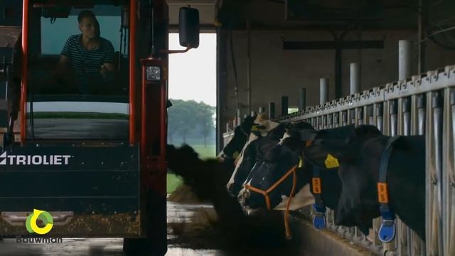 BOUWMAN TRIOLIET AP 02 смотреть онлайн