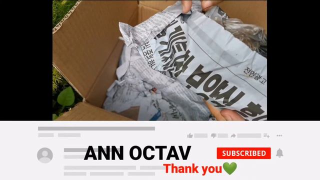 Philodendron Cuttings Unboxing | Tips in Packing Philo Cuttings смотреть онлайн