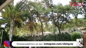 Обзор отеля Риксос Премиум Бодрум (Rixos Premium Bodrum). Турция, отдых с детьми. Цены