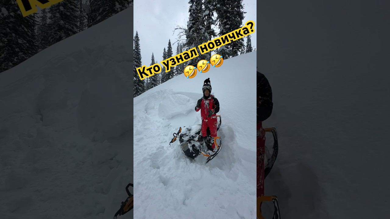 Знаете этого новичка? #brp #polaris #снегоход #снегоход смотреть онлайн